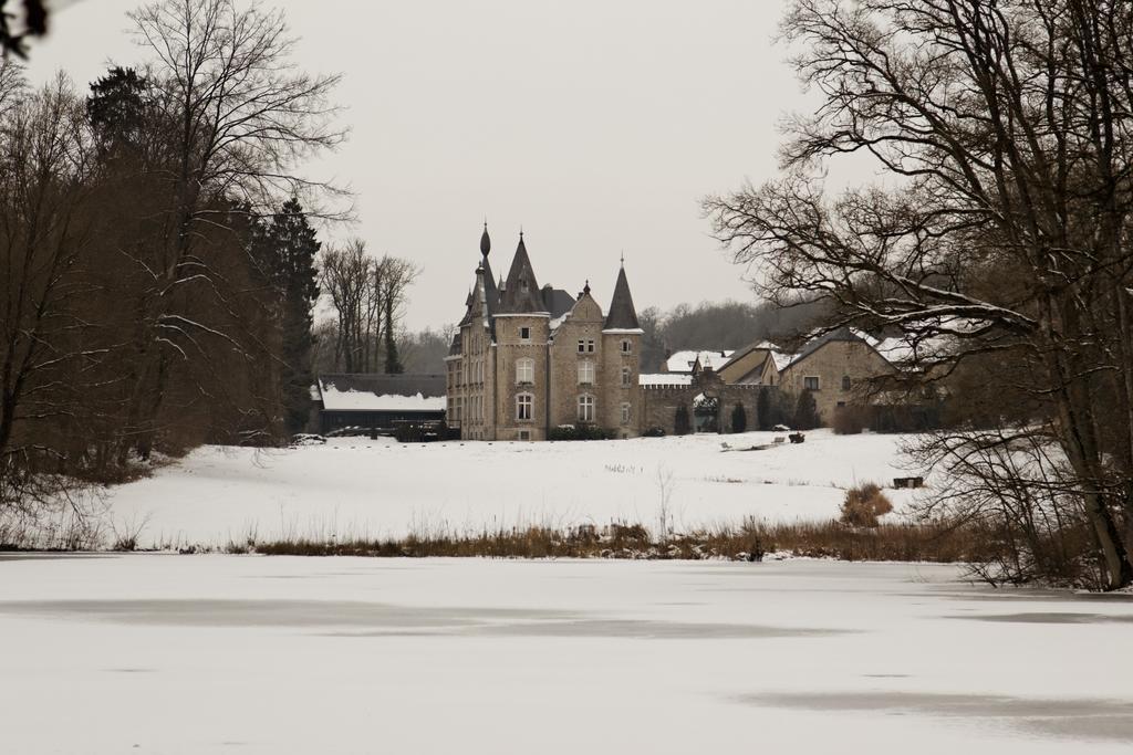 Chateau D'Hassonville Aye Zewnętrze zdjęcie