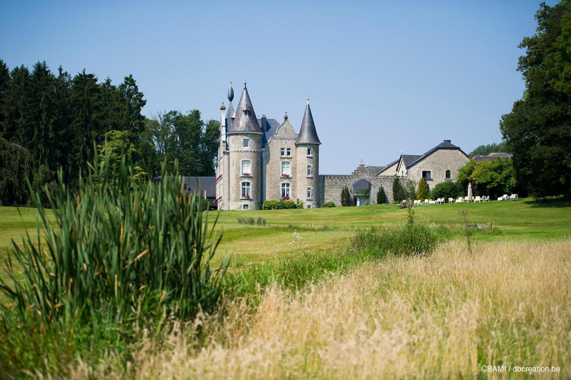 Chateau D'Hassonville Aye Zewnętrze zdjęcie