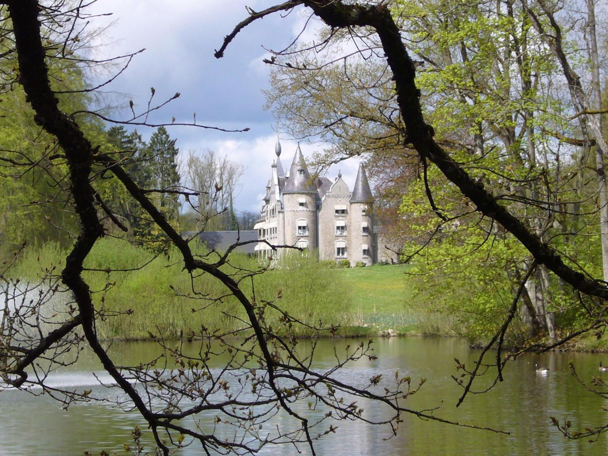 Chateau D'Hassonville Aye Zewnętrze zdjęcie
