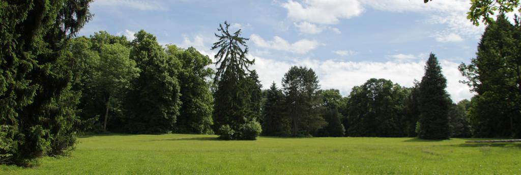 Chateau D'Hassonville Aye Zewnętrze zdjęcie